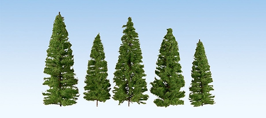 Tannen, dunkelgrün, 5 Stück, 14 - 20 cm hoch