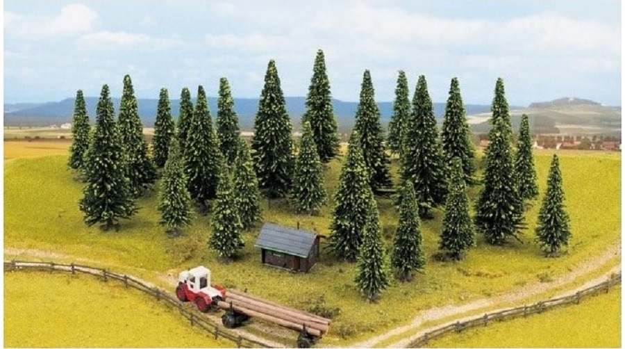 Modell fenyők, 25 db, magasság 6 - 15 cm