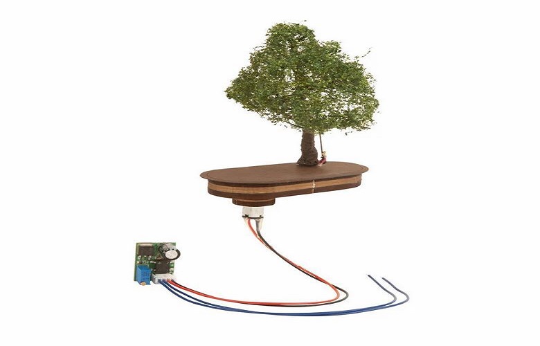 mikromozgás, fán hintázó kislány